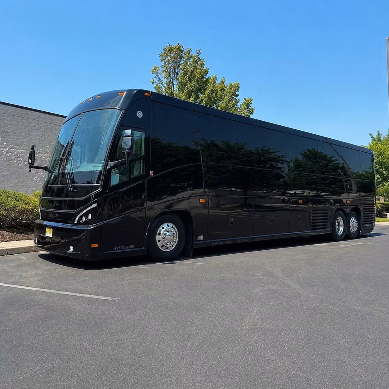 charter buses for tacoma school groups visiting point defiance zoo aquarium